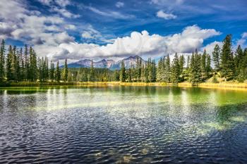 The lake is surrounded by evergreen firs. Small lake in the Rocky Mountains of Canada