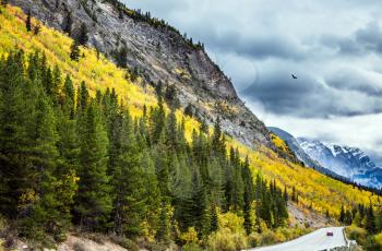 The grandiose nature of the Rockies of Canada. The road 93 Icefields Parkway. The concept of active tourism 