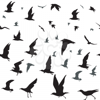 Seamless background with flying birds