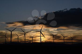 Wind turbine silhouettes at twilight