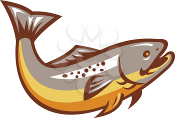 Illustration of a trout fish jumping on isolated white background done in retro style.