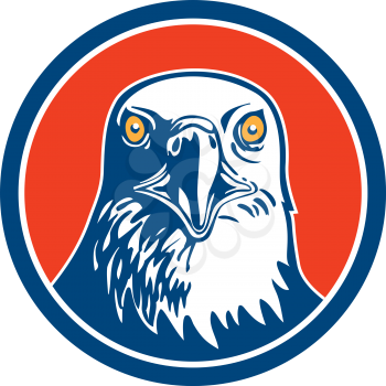 Illustration of an american bald eagle head facing front set inside circle on isolated background done in retro style.
