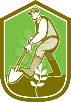 Illustration of male gardener landscaper horticulturist with shovel spade digging set inside shield crest on isolated background done in cartoon style. 