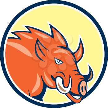 Illustration of a wild pig boar razorback head ready to charge set inside circle on isolated background done in cartoon style. 