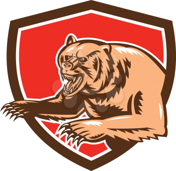 Illustration of a grizzly bear standing angry growling set inside shield crest on isolated background done in retro style. 