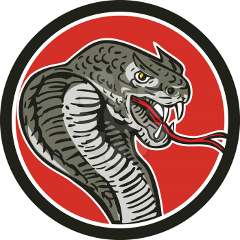 Illustration of a cobra viper snake serpent showing fangs and forked tongue viewed from side set inside circle done in retro style.