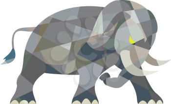 Low polygon style illustration of an elephant attacking viewed from the side set on isolated white background. 
