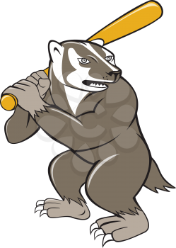 Illustration of a badger baseball player holding bat batting set on isolated white background background done in cartoon style. 