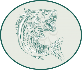 Etching engraving handmade style illustration of a largemouth bass fish viewed from the side set inside circle on isolated background.