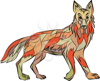 Drawing sketch style illustration of a coyote wild dog viewed from the side facing front set on isolated white background. 