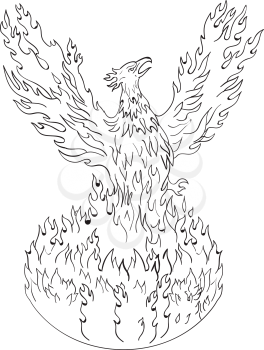 Drawing sketch style illustration of a phoenix rising up from fiery flames, wings raised for flight done in black and white set on isolated white background. 