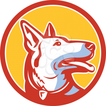 Mascot icon illustration of head of a police dog, German Shepherd, Alsatian wolf dog or sometimes abbreviated as GSD looking up set inside circle viewed from side isolated background in retro style.