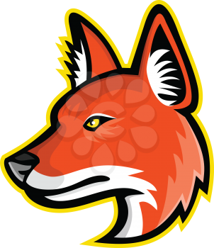 Sports mascot icon illustration of head of a dhole, Asiatic wild dog, Indian wild dog, whistling dog, red dog or mountain wolf, a canid native to Asia viewed from side on isolated background in retro style.