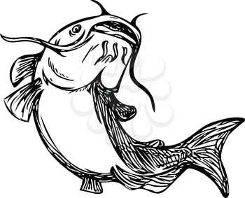 Black and White drawing sketch styleillustration of a ray-finned fish catfish also known as mud cat, polliwogs or chucklehead jumping up set on isolated background. 