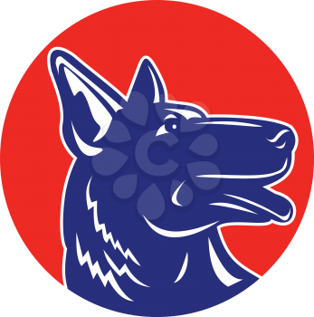 Sports mascot icon illustration of head of a German shepherd dog looking up viewed from side set inside circle on isolated background in retro woodocut style.