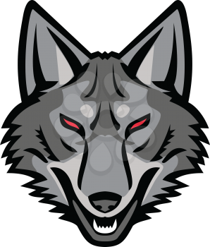 Sports mascot icon illustration of head of a gray coyote, a canine native to North America closely related to the gray wolf viewed from front  on isolated background in retro style.