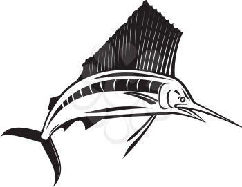 Retro style illustration of an angry Atlantic sailfish, a fish of the genus Istiophorus of billfish living in colder sea areas, jumping up viewed from front on isolated background done in black and white.