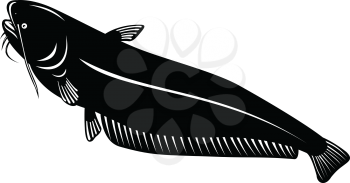 Retro woodcut style illustration of a wels catfish or sheatfish, a species of large catfish native to central, southern, and eastern Europe, going up on isolated background done in black and white.