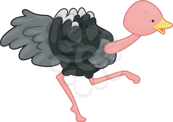 Royalty Free Clipart Image of a Running Ostrich