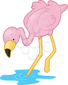 Royalty Free Clipart Image of a Flamingo With a Foot in the Water