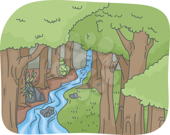 Illustration Featuring a Rainforest with a Gently Cascading Waterfall/