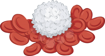 Illustration Featuring a Group of Red and White Blood Cells