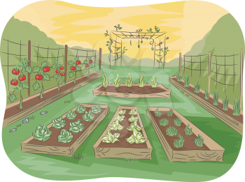 Illustration of a Kitchen Garden Lined Up With Fruits and Vegetables