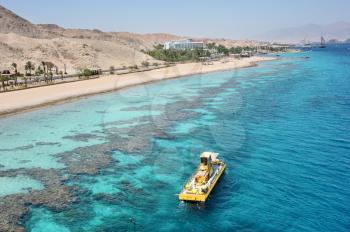 Coral reef in the Gulf of Eilat Red Sea