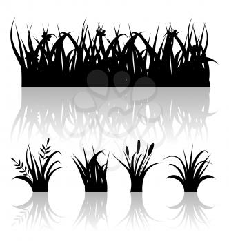 Illustration set silhouette of grass with reflection isolated on white background - vector
