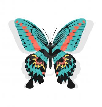 Illustration vintage single colorful butterfly isolated on white background with shadow - vector