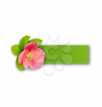 Illustration special spring offer sticker with flower, isolated on white background - vector