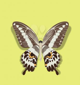 Illustration Papilio Gigon Butterfly Isolated on Yellow Background with Transparent Shadow - vector