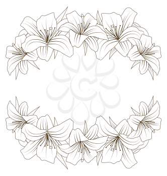 Illustration Floral Background with Beautiful Lilies. Flowers in Hand Drawn Style and Isolated on White Background - Vector