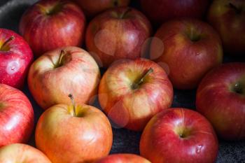 Many fresh natural organic apples candid shot - ripe fresh apple - abstract natural background