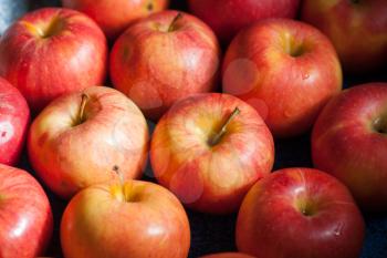 Large group of ripe red organic apples background