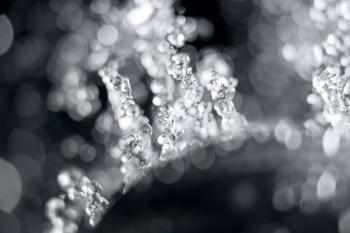 Macro image of water splash on black background, water drops fly in the air