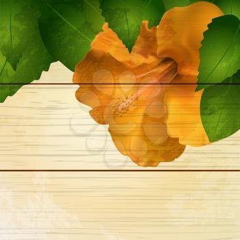 yellow hibiscus flower background on wood