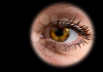 Royalty Free Photo of a Woman's Eye