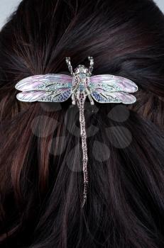 Woman coiffure with dragonfly hairpin closeup