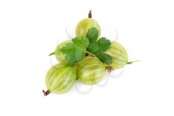 green ripe gooseberries isolated on a white background