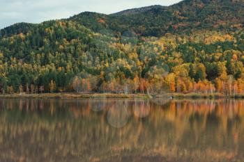 Autumn reflections of the Manjerokskoe lake, , Altai Republic, Russia