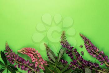 Green paper mockup for text with decor made of flower lupine