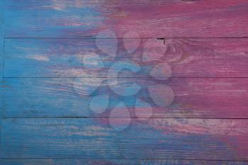 Colorful pink and blue empty pine wooden background