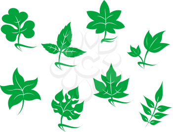 Royalty Free Clipart Image of a Set of Leaves