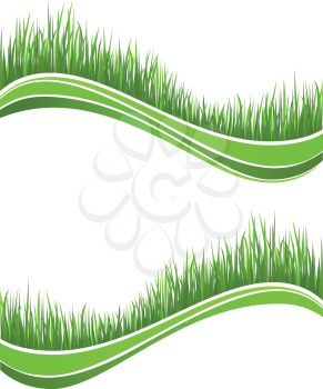 Waves of fresh spring green grass for design