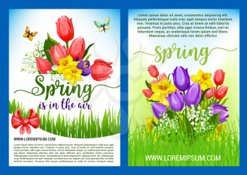 Hello Spring greeting poster vector holiday design of springtime flowers. Blooming bouquets and wreath of tulips, daffodils or crocuses, narcissus and lily of valley with bow ribbons in green grass