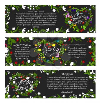 Spring greeting vector banners with Hello Spring quotes set for springtime holidays. Floral hearts and flowers ornament design of garden or forest blooming snowdrops or lily blossoms and garden fresh 