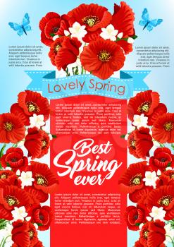 Spring holiday poster design with blooming poppy flowers and flourish cherry blossom of orchid petals bouquets. Vector springtime holiday quotes and wishes template with ribbons and butterflies