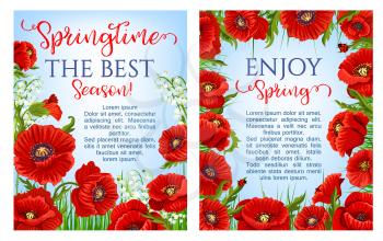 Spring holiday poster vector design with blooming poppy flowers and flourish lily of valley of orchid petals on green grass lawn. Set for springtime season holiday quotes and wishes templates