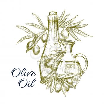 Olive oil product vector poster. Sketch design of of Italian olives and extra virgin oil in bottle and jar or pitcher for natural organic cuisine and healthy vegetarian cooking